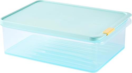 LocknLock Freezer Fit Plastic Freezer Containers | Airtight Stackable Food Storage for Meal Prep | Microwave & Dishwasher Safe | BPA Free Freezer Container with Lid, 3.5L - size: 3500ml