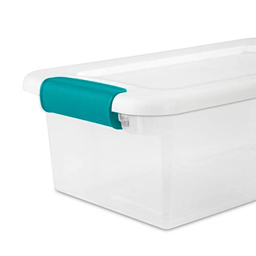 STERILITE 14928012 See Latching Box, Clear, Pack of 1