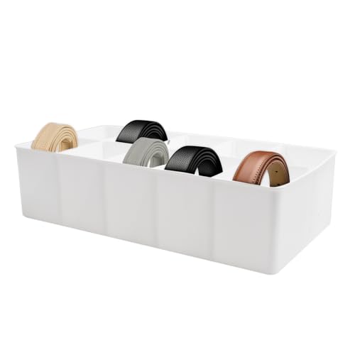 Plastic Belt Organizer, 10 Section Drawer Organizer for Storage Belt, Ties, Underwear and Socks, White Removable Dividers Storage Box for Closet Dresser Drawer, 12 x 6.2 x 3.1 Inch