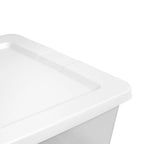 Storage Bin with Snap-on Lid, 41 Quart Clear Plastic Storage Container, White Latch Box for Home Organization and Closet Storage