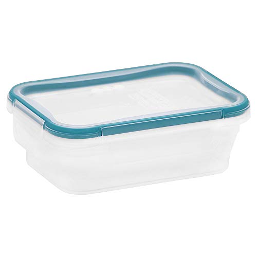 Snapware Total Solutions (3 Cup) Plastic Food Storage Containers Set, Airtight & Leakproof Locking BPA-Free Lids Tupperware, Freezer Dishwasher Microwave Safe (Pack of 10) - size: 10 Pack, style: 3 Cup