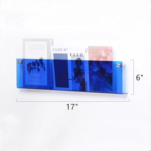 ROYALITA 2-Pack Acrylic Magazine Holder Brochure Holder, 17" Record Holder Magazine Rack, Fashion Hanging Bookshelf Literature Storage Rack for Waiting Room, Living Room, Office, Blue, 17 Inch - color: Blue, size: 17 Inch