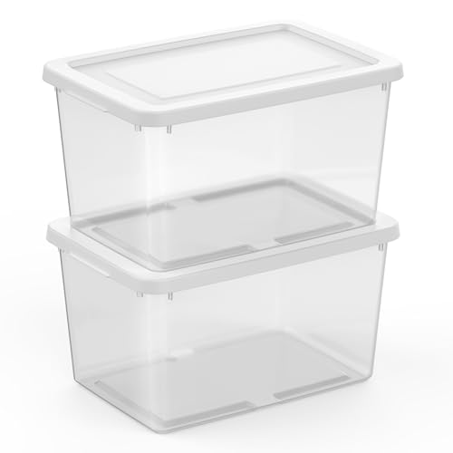 Sterilite 6 Pack Storage Boxes, Clear Plastic Stackable Containers, Lightweight Home Organizers with Snap Lids, 20 Quart, White - size: 20 Quart, style: 6 Pack