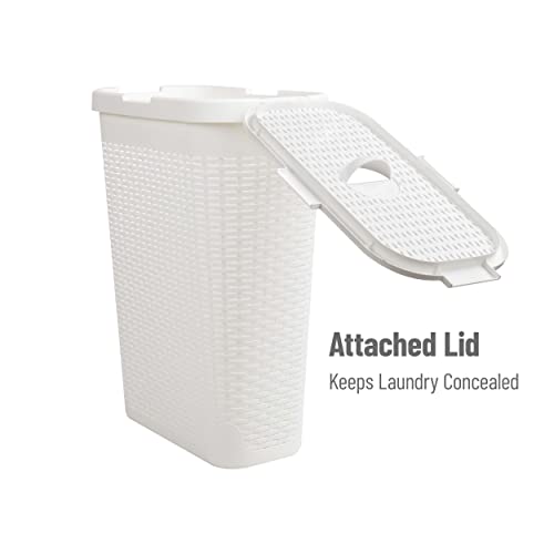 Mind Reader Slim Laundry Hamper with Lid, 40L Clothes Basket, Narrow Tapered Design with Ventilated Cutout Pattern, Plastic, Set of 2, White - color: White, size: Set of 2