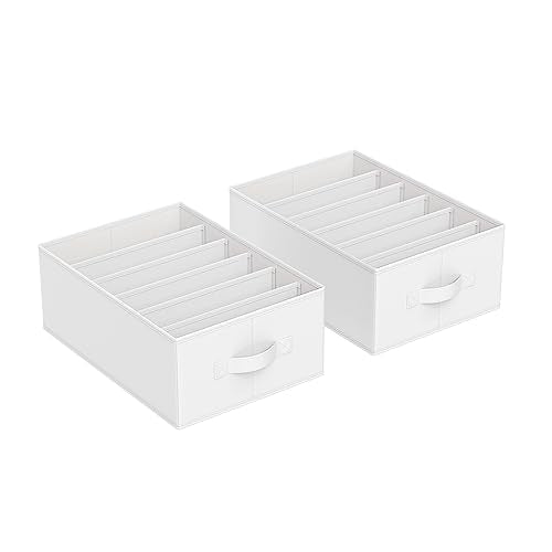 SONGMICS Set of 2 Large Size Wardrobe Clothes Organizers, 6-Compartment Foldable Drawer Organizers with Handles, 16.5 x 11.8 x 6.7 Inches, for Pants, Sweaters, Jeans, Cloud White URUS009W02 - color: Cloud White, size: 2 Pack