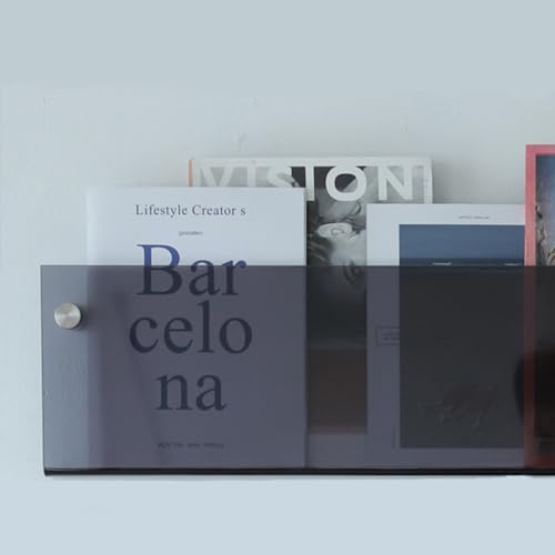 ROYALITA 2-Pack Acrylic Magazine Holder Brochure Holder, 17" Record Holder Magazine Rack, Fashion Hanging Bookshelf Literature Storage Rack for Waiting Room, Living Room, Office, Gray, 17 Inch - color: Grey, size: 17 Inch