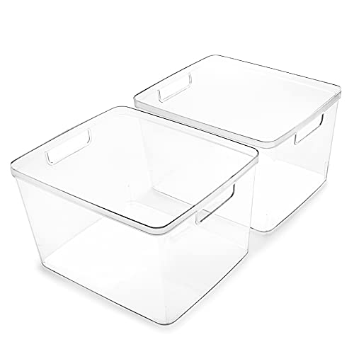 BINO | Plastic Bins, Large - 2 Pack | THE LUCID COLLECTION | Multi-Use| Built-In Handles | BPA-Free | Clear Storage Containers | Fridge Organizer | Pantry & Home Organization - size: 2PK - LARGE