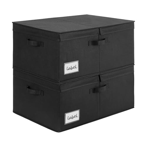 GRANNY SAYS Extra Large Storage Bins with Double-Open Lid, Closet Storage Boxes with Label, 63L Stackable Storage Organizer, Shelves Basket, Black, 2-Pack - color: Black, size: Extra Large - 2 Pack