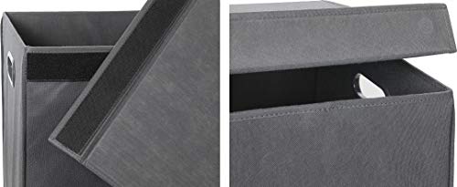 Simple Houseware Double Laundry Hamper with Lid and Removable Laundry Bags, Dark Grey - color: Dark Grey