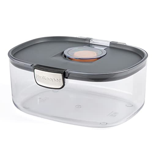 Progressive ProKeeper International Airtight Food Storage Container with Terracotta Disk for Freshness, Stackable & Dishwasher Safe, Ideal for Cookies, Baked Goods, & More, 3 Quart - size: 1-Piece, style: 3-Quart Prokeeper
