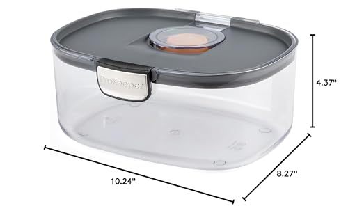 Progressive ProKeeper International Airtight Food Storage Container with Terracotta Disk for Freshness, Stackable & Dishwasher Safe, Ideal for Cookies, Baked Goods, & More, 3 Quart - size: 1-Piece, style: 3-Quart Prokeeper