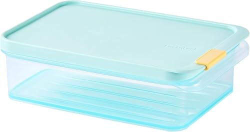 LocknLock Freezer Fit Plastic Freezer Containers | Airtight Stackable Food Storage for Meal Prep | Microwave & Dishwasher Safe | BPA Free Freezer Container with Lid, 1.05L - size: 1050ml