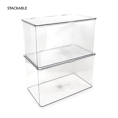 Isaac Jacobs Large Stackable Organizer Bin (10.75” x 6.5” x 6.1”) w Hinged Lid Clear Storage Box Home Office School Fridge Bathroom Kitchen Pantry Container BPAFree Food Safe (Large Clear) - size: Large