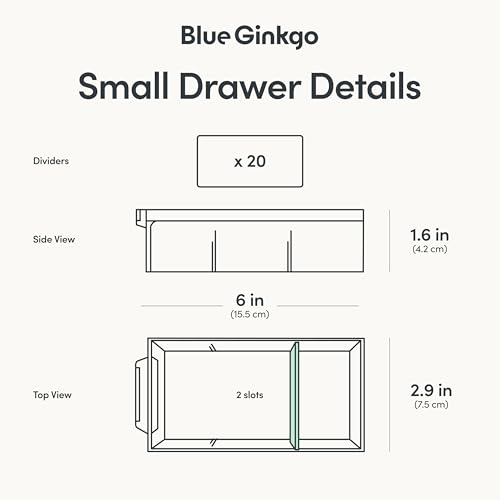 Blue Ginkgo Small 20-Drawer Cabinet – Stackable Clear Organizer for Hardware, Beads, Plastic Bricks, Office, and Craft Storage (Made in Korea, Blue) - color: BLUE, size: 20 Drawer
