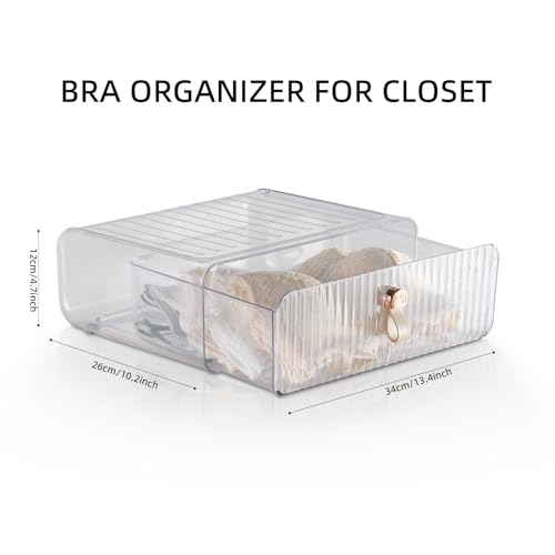Underwear Drawer Organizer, Stackable Bra Organizer for Closet, 1 Cell Bra Storage, Sock and Underwear Organizer, Closet Organizers and Storage Drawer for Bra, Socks, Tie, Belt, Scarf - color: Clear-1 Cell-1 Pack