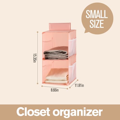 Hanging Closet Organizer, 4-Section Storage Shelves, Oxford Cloth with Mesh Pockets, (Cerulean, 2 Section) - color: Cerulean, size: 2 Section*2PACK
