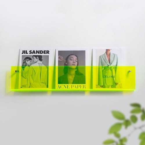 ROYALITA 2-Pack Acrylic Magazine Holder Brochure Holder, 17" Record Holder Magazine Rack, Fashion Hanging Bookshelf Literature Storage Rack for Waiting Room, Living Room, Office, Green 17 Inch - color: Green, size: 17 Inch
