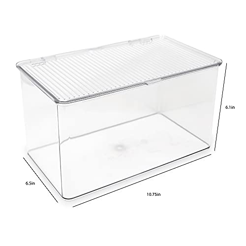 Isaac Jacobs Large Stackable Organizer Bin (10.75” x 6.5” x 6.1”) w Hinged Lid Clear Storage Box Home Office School Fridge Bathroom Kitchen Pantry Container BPAFree Food Safe (Large Clear) - size: Large