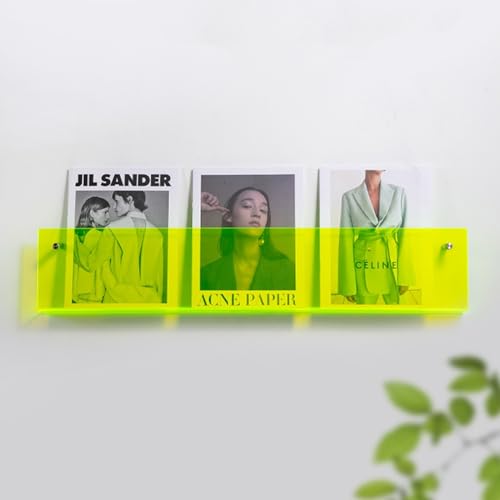 ROYALITA 2-Pack Acrylic Magazine Holder Brochure Holder, 24" Record Holder Magazine Rack, Fashion Hanging Bookshelf Literature Storage Rack for Waiting Room, Living Room, Office, Green 24 Inch - color: Green, size: 24 Inch