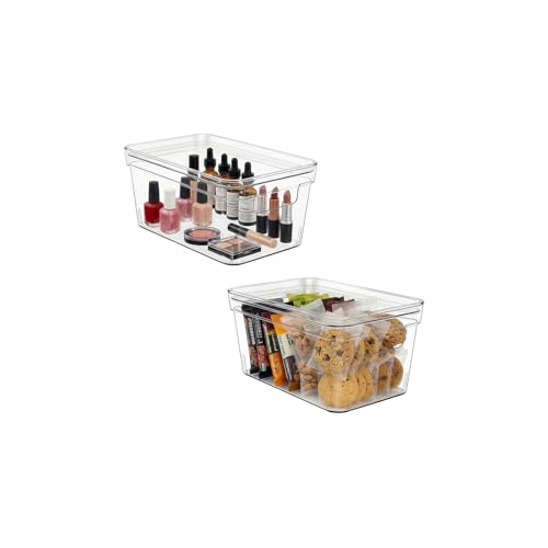 MOONEDGE Small Clear Plastic Storage Bins with Lids and Handles,Stackable Small Item Organizer Containers for Vanity,Craft,Office,Fridge,Kitchen,Pantry,Bathroom,Closet – 2 Pack (10×6×5 in) - size: 2 Pack