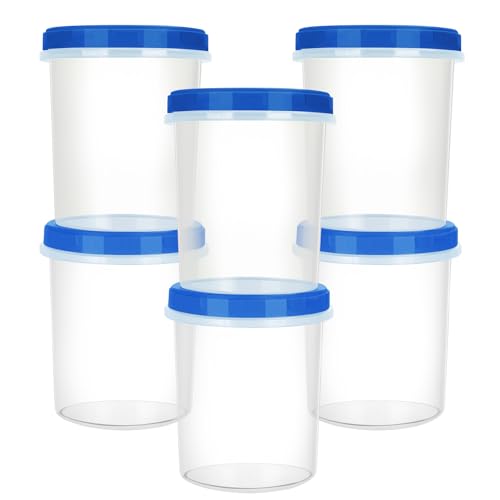 Atecare Heavy Duty Airtight Plastic Containers with Twist Top Lids, Stackable Freezer Containers for Lunch, Salad, Soup, Leftover, Ice Cream, BPA Free [6 Pack-32 oz]