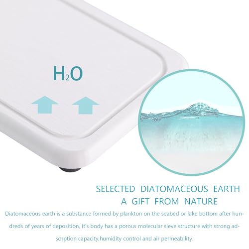 NiuYichee 2 Pcs Water Absorbing Stone Trays, Kitchen/Bathroom Sink Soap Dish, Diatomite Tray Used for Hand Soap & Cosmetic Bottles in The Modern Home, 4" W x 8.3" L, White - color: White, size: 8.3" x 4" with groove