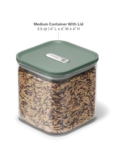 Caraway 2.5qt Glass Airtight Food Storage Container with Lid – Non-Toxic, BPA-Free Kitchen Storage Container – Stackable, Space-Saving Airtight Container for Dry Goods and More - Sage - color: Sage, size: 2.5qt Container