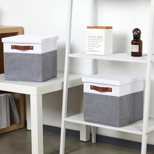 Temary Foldable Fabric Storage Bins with Lids, 2-Pack Storage Bin for Organizing Living Room, Closet Organization, Multi-Purpose Storage Boxes for Clothes (White&Grey, 10.5x10.5x10.5in) - color: White&Grey, size: 10.5×10.5×10.5