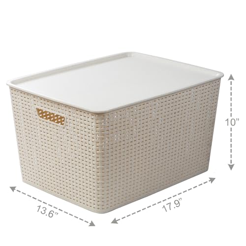 BINO | Plastic Storage Baskets with Lids, 45 Liter - 3 Pack, Natural | THE WOVEN COLLECTION | Storage Basket for Shelves | Woven Storage Baskets for Organizing Bins | Pantry Shelf Organizer Bin - color: Natural, size: 45L | 2-Pack