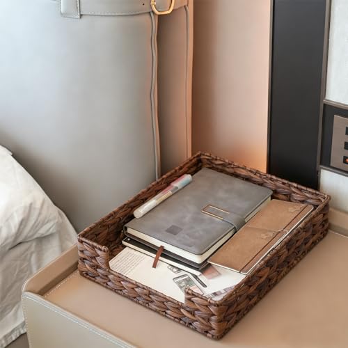 PINXIURY Water Hyacinth Letter Tray for A4 File Desk Mail Letter-Size Paper, Basket Woven Organizer, Magazine Files Storage, Office Document Organizer and Storage, Coffee - color: Coffee