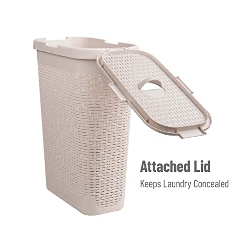 Mind Reader Slim Laundry Hamper with Lid, 40L Clothes Basket, Narrow Tapered Design with Ventilated Cutout Pattern, Plastic, Set of 2, Ivory - color: Ivory, size: Set of 2