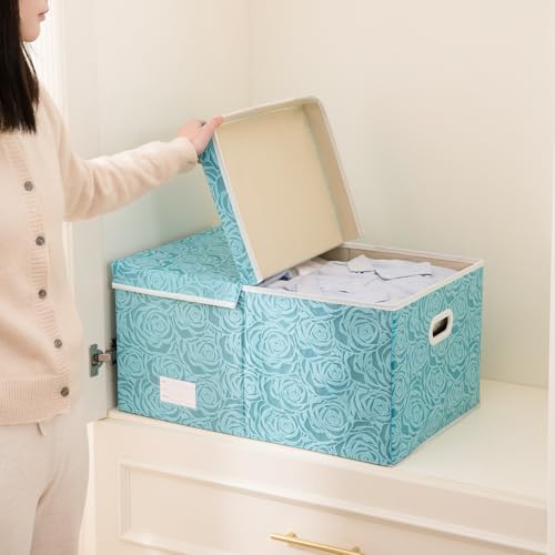 PRANDOM Extra Large Collapsible Storage Cubes with Lids Fabric Decorative Storage Bins Boxes Organizer Baskets with Cover Handles for Bedroom Closet Living Room 19.6x15.7x11.8 Inch 3 Pack - color: Blue, size: X Large(3-Pack)