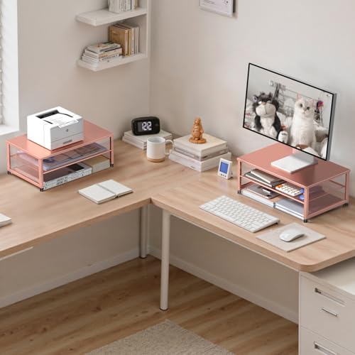 ECOLOVI 2-Tier Computer Monitor Stand Riser, Desk Organizer for Monitor, Printer & Laptop Stand, Desktop Workspace Organizers for Office Supplies(Rose Gold) - color: Rose Gold