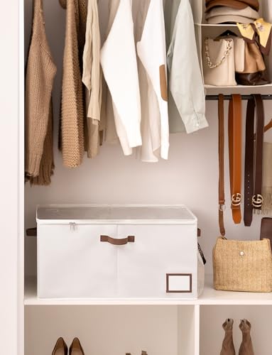 StorageWorks Shoe Organizer for Closet, Shoe Storage with Side Mesh Pocket, Shoe Cubby With Clear Cover, Storage Shoe Containers for Sneakers and Sandals, Fits up to 20 Pairs, Beige - color: Beige, size: Large-1 Pack