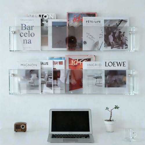 ROYALITA 2-Pack Acrylic Magazine Holder Brochure Holder, 36" Record Holder Magazine Rack, Fashion Hanging Bookshelf Literature Storage Rack for Waiting Room, Living Room, Office - color: Clear, size: 36 Inch