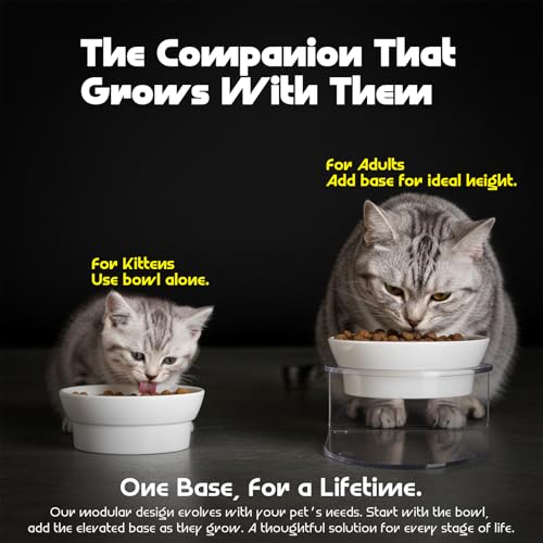 LivLab Mker Raised Cat Bowl, Elevated Cat Food Bowls with Stand - 15° Tilted Shallow Cat Dish for Whisker Fatigue Relief, 4.5" Height for Easy Feeding, Lead & Cadmium Free Melamine Bowl, White - color: White