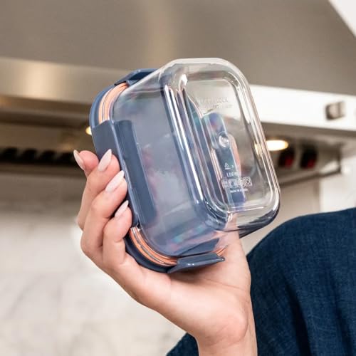 LocknLock LBF405RS12N Bisfree Modular Plus Food Storage Container Set, BPA-Free Plastic, Stackable, Microwave, Dishwasher and Freezer-Safe, 24-Piece Set with 12 Boxes and 12 Lids, Navy - color: Navy, size: 24 set (12 containers & 12 Lids)