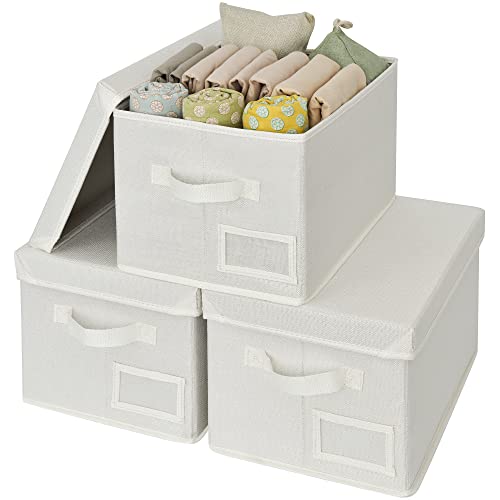 GRANNY SAYS Fabric Storage Bins with Lids, Storage Basket for Clothes, Decorative Storage Boxes, Closet Storage and Organizers, Ivory, 3-Pack - color: Ivory, size: Large