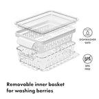 OXO Good Grips Produce Saver - Berry Keeper 2-Piece Set - style: Berry Keeper