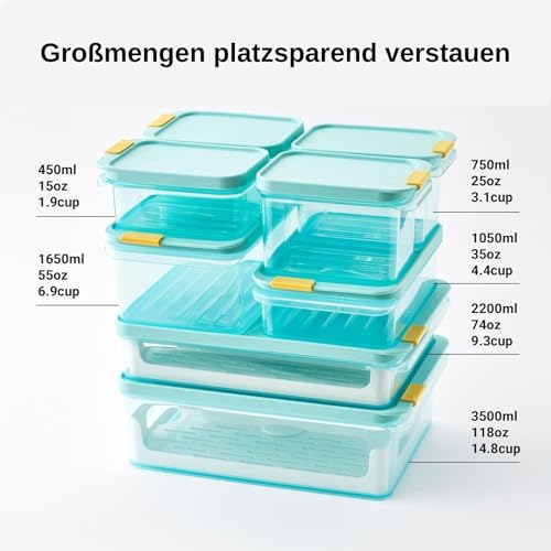 LocknLock Freezer Fit Plastic Freezer Containers | Airtight Stackable Food Storage for Meal Prep | Microwave & Dishwasher Safe | BPA Free Freezer Container with Lid, 3.5L - size: 3500ml