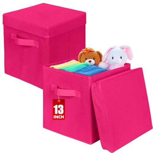 ShellKingdom Storage Bins, Foldable Fabric Storage Cubes with Lid, Clothes Storage Organizer Drawer For Closet Toys Storage, 13 X 13 X 13 INCH, 2 Pack (Fuchsia) - color: Fuchsia, size: 13 inch (2 Pack)