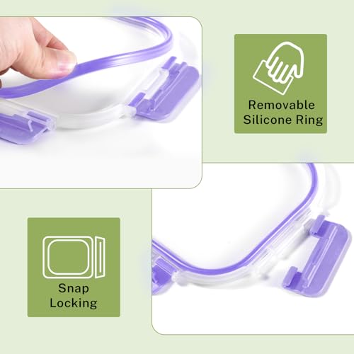 HOMBERKING 8 Pack Glass Food Storage Containers with Lids, Meal Prep Containers, Airtight Bento Boxes with Leak Proof Locking for Microwave, Oven, Freezer and Dishwasher, BPA Free, 5-35oz, purple - color: Purple