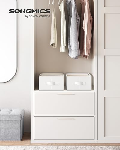 SONGMICS Set of 2 Large Size Wardrobe Clothes Organizers, 6-Compartment Foldable Drawer Organizers with Handles, 16.5 x 11.8 x 6.7 Inches, for Pants, Sweaters, Jeans, Cloud White URUS009W02 - color: Cloud White, size: 2 Pack