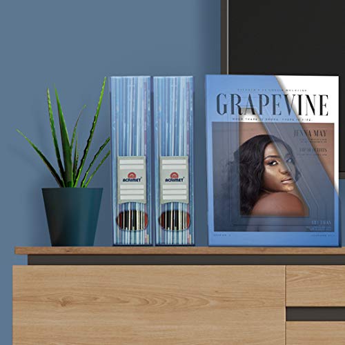 Acrimet Magazine File Holder Bin Storage, Vertical Rack for Documents, Folders and Mail, Durable Plastic Desk Organizer for Office & Home (Clear Blue Color) (2 Pack) - color: Clear Blue Color