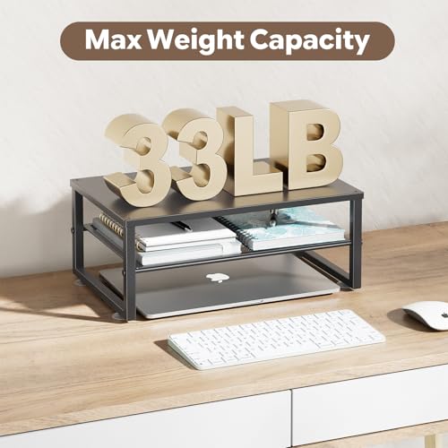 Ekisemio 2-Tier Computer Monitor Stand Riser, Desk Organizer for Monitor, Black