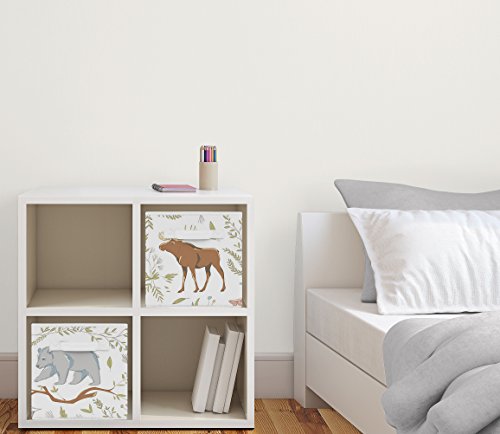 Sweet Jojo Designs Woodland Animal Toile Foldable Fabric Storage Cube Bins Boxes Organizer Toys Kids Baby Childrens for Collection Set of 2 - color: Woodland Animals