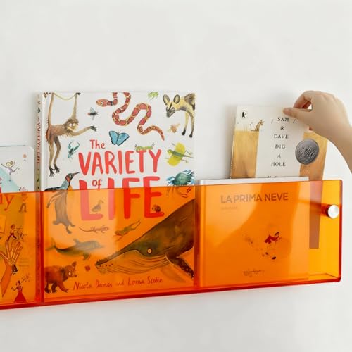 ROYALITA 2-Pack Acrylic Magazine Holder Brochure Holder, 36" Record Holder Magazine Rack, Fashion Hanging Bookshelf Literature Storage Rack for Waiting Room, Living Room, Office - color: Orange, size: 36 Inch