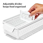 OXO Good Grips Produce Saver – Large Bin - style: Large Bin