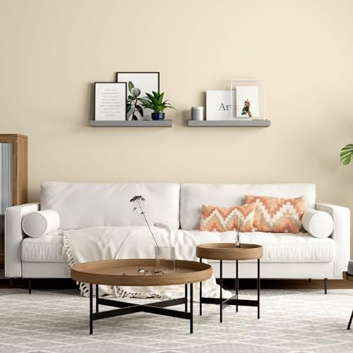 Boswillon Floating Shelves for Wall, Wall Shelves Set of 2, Bedroom Shelves with Lip, Display Picture Ledge Shelf for Wall Decor Bedroom Living Room Bathroom Kitchen - Grey - color: Grey, size: 15.7 In