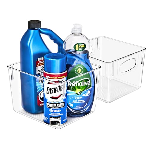 Sorbus 2 Pack Medium Clear Plastic Storage Bins, Clear Organizer Bins with Handle for Kitchen, Pantry, Cabinet, Refrigerator, Craft, Toys, Clothes, Closet, Under Sink, Bathroom Organizers and Storage - size: Medium, style: 2 Pack